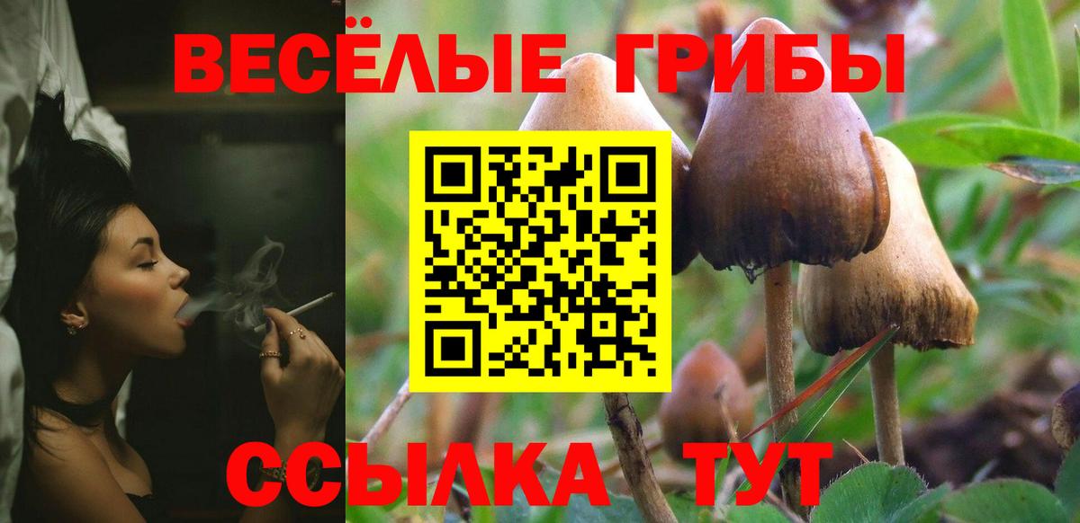 Острогожск  Галлюциногенные грибы мицелий  Вход с VPN 